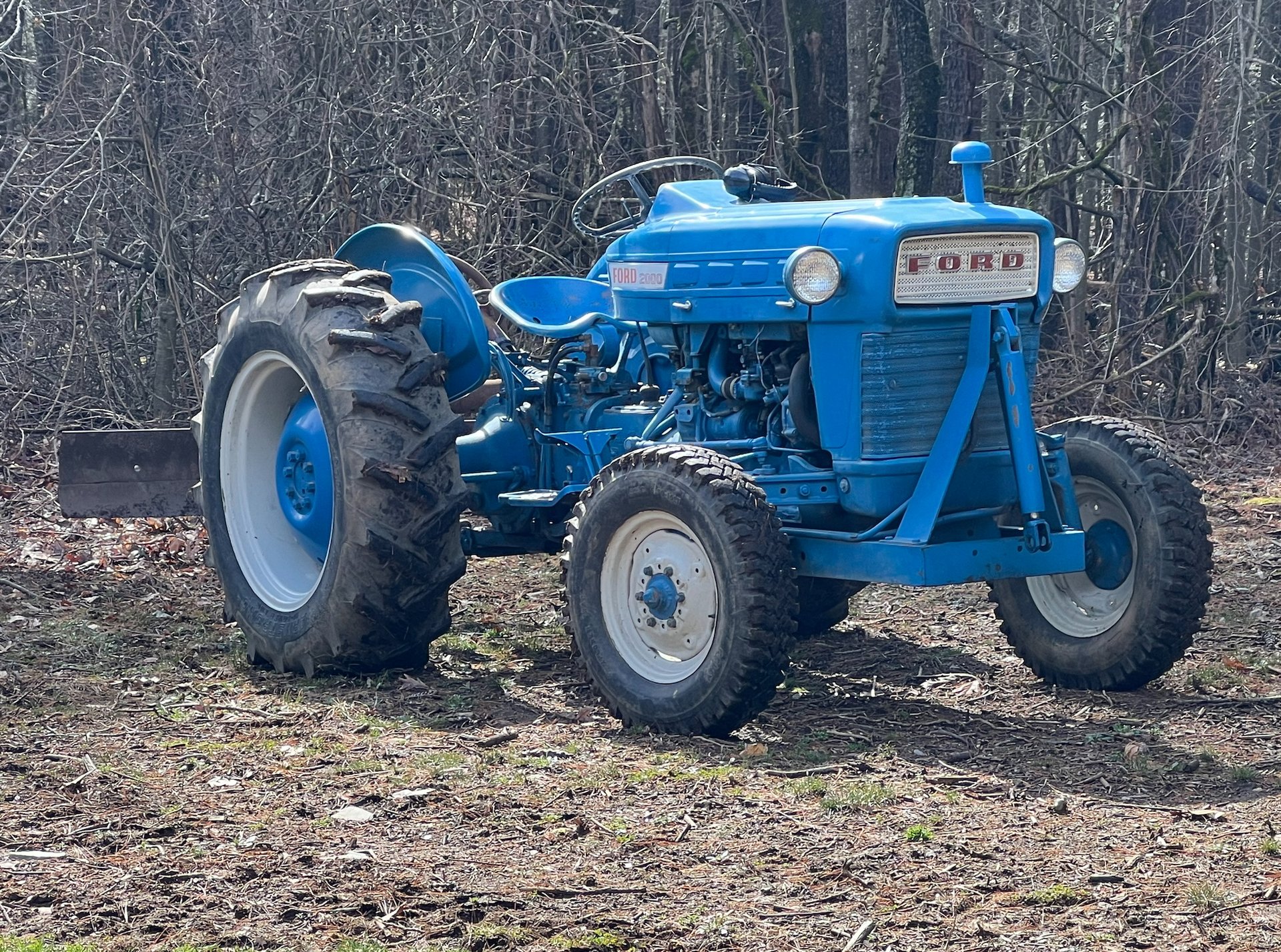 Restored blue Ford 2000 tractor at the edge of the woods